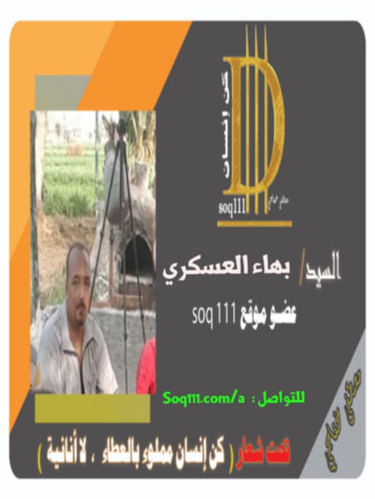 معرض الصور